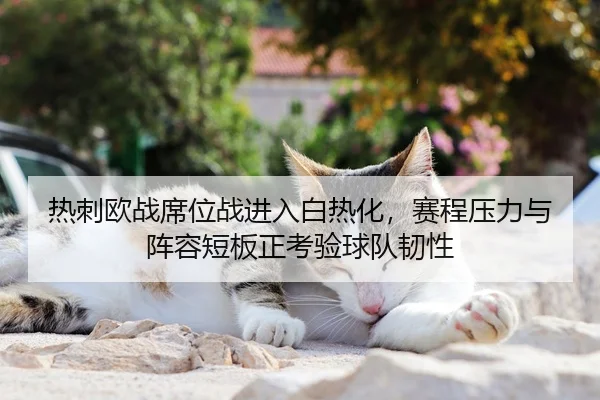 热刺欧战席位战进入白热化，赛程压力与阵容短板正考验球队韧性